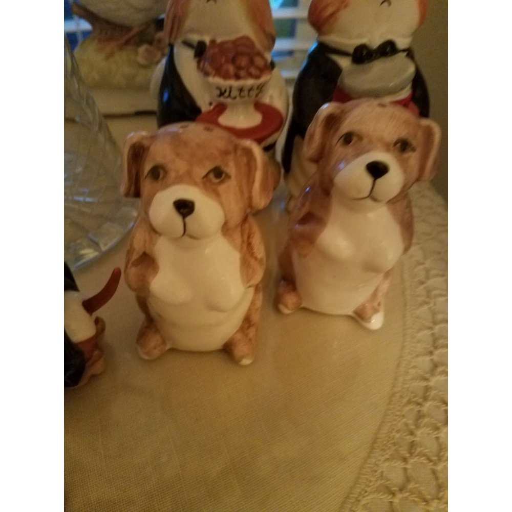 Puppy Dog Salt n Pepper